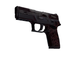 P250 | Contaminant (Battle-Scarred)