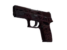 P250 | Contaminant (Field-Tested)