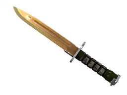 ★ Bayonet | Lore (Well-Worn)
