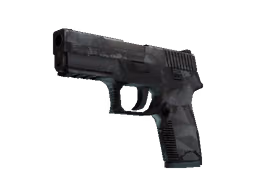 P250 | Facets (Battle-Scarred)